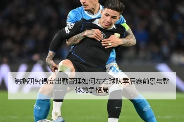 鹈鹕研究锡安出勤管理如何左右球队季后赛前景与整体竞争格局